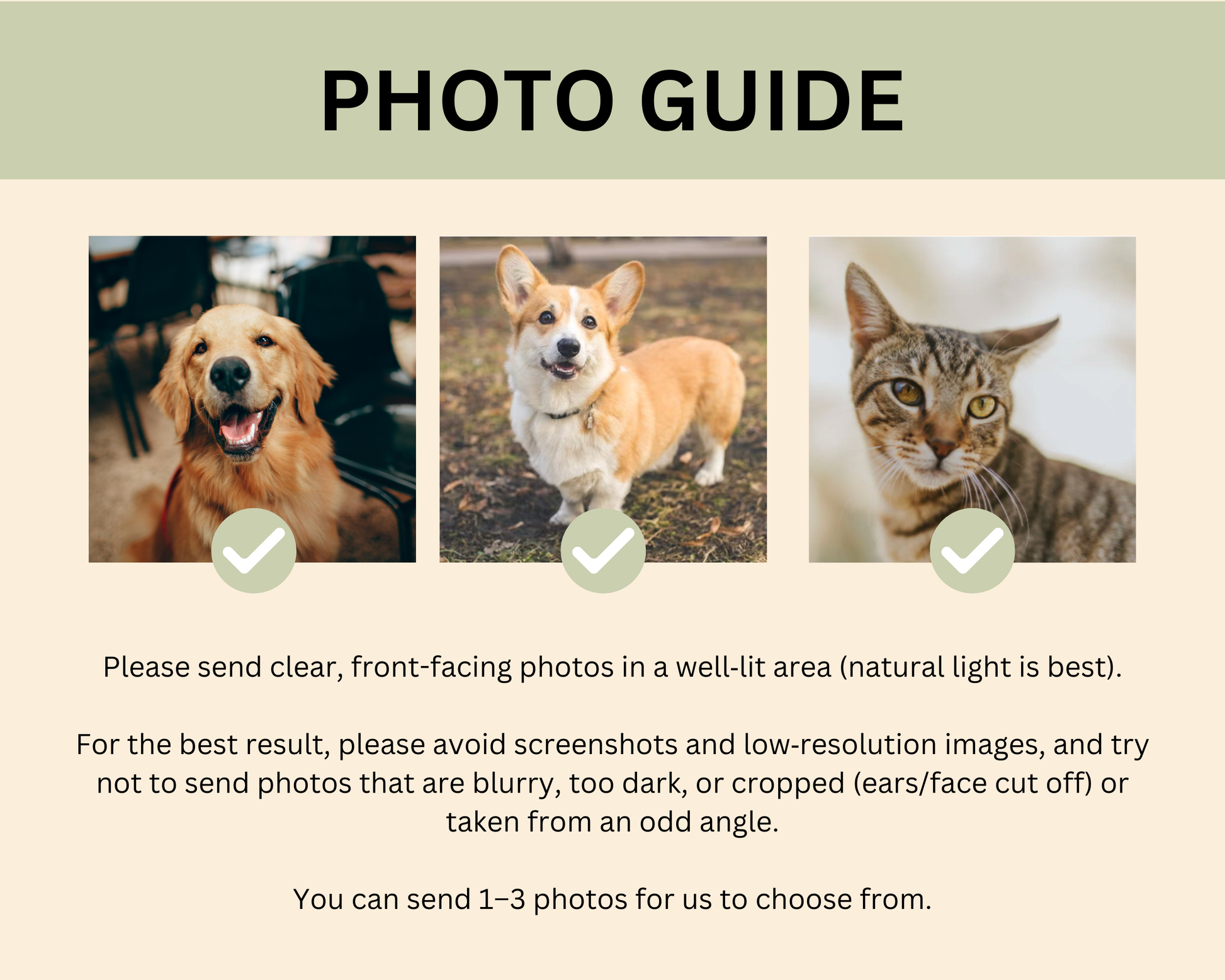 Photo guide for custom pet portrait blanket — how to send the best photo for your hand-drawn illustration